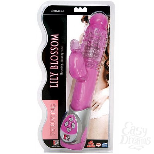  1:     (Dream toys 20209)