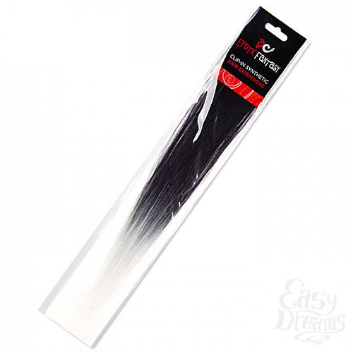 ���������� 1:  �����-����� CLIP-IN � ��������� ����� �� ������� � ������ EF-CH07