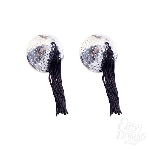 ���������� 1:  ���������� ������� � �������� ���������� YTS-55SLV