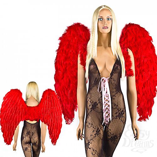 ���������� 1:  ������� ������� ������ �� ����������� ������ RED LOVE WB-RED