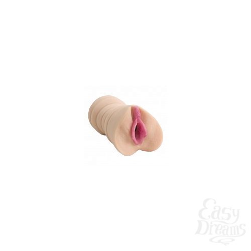  1:   POCKET PUSSY SASHA GREY