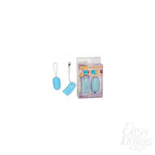 ���������� 1:  ��������� � ������������� ����������� 7-FUNCTION WIRELESS REMOTE - EGG