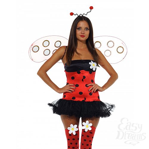 ���������� 2  ������ ������ �������, XS