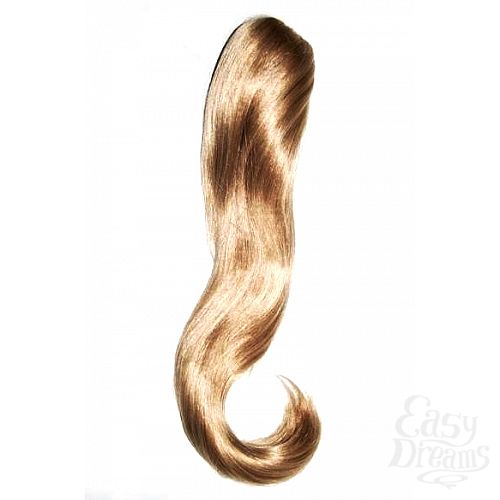 ���������� 1:  ����� �� ���������