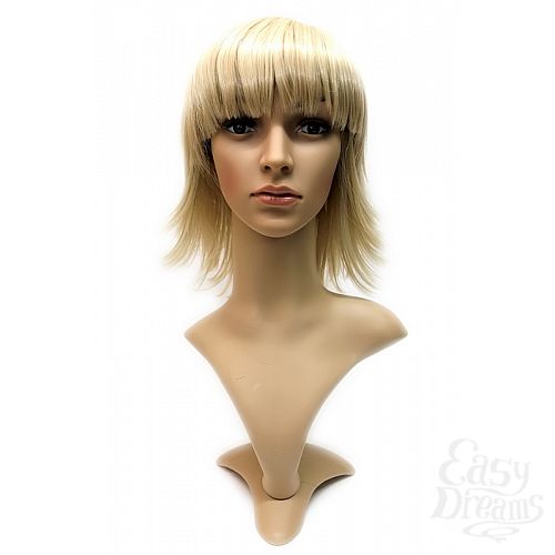 ���������� 2  ����� Steph Wig - �������� ������� ������� �����, �����