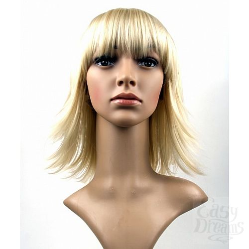 ���������� 6  ����� Steph Wig - �������� ������� ������� �����, ������-������