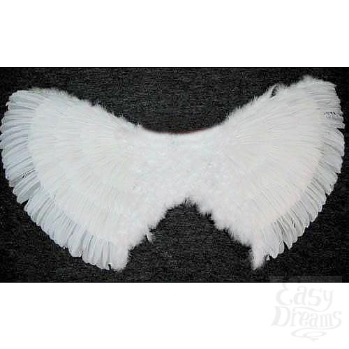 ���������� 1:  ������ ���������� ����� 105x70 �� 02423