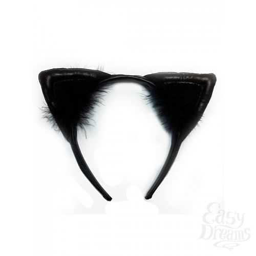 ���������� 1:  ���� ������� ��������� ������ 02698OS