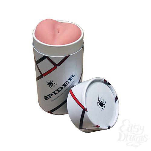  1:   Spider Backside 