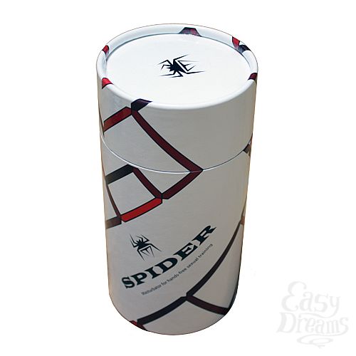  2   Spider Backside 