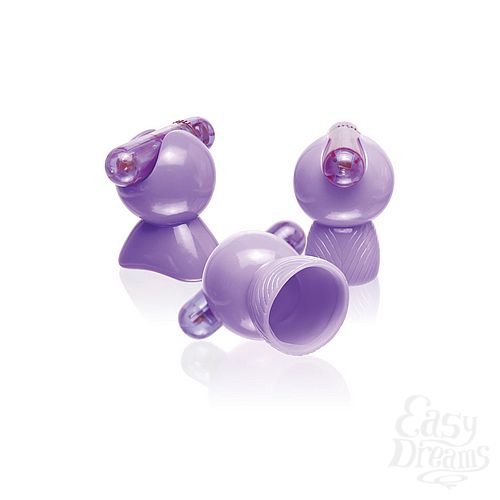 ���������� 2  �������� ��� ������� � ������ � ����� 185312PD