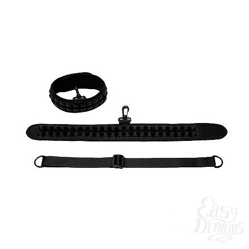 ���������� 1:  ������� Speak No Evil Choker (PicoBong), ��������