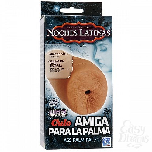  2    NOCHES LATINAS  