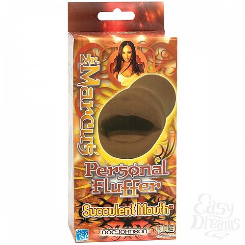 ���������� 2  ����-����� Mr. MARCUS ��������