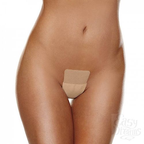 ���������� 2  ����� ����������� �������� g-������ �� ������� ������ ��� �������� HC018-NUD