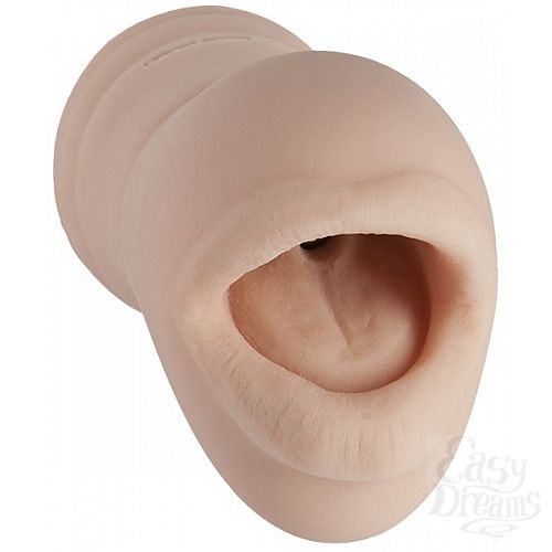 ���������� 1:  ����� ����� ��� ����������� BELLADONNA