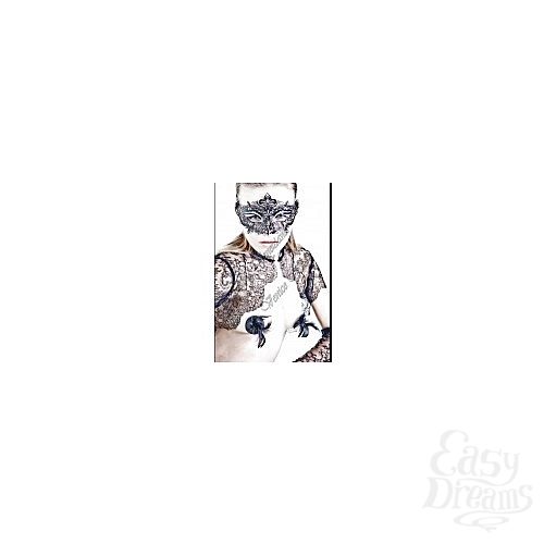 ���������� 1:  ������������ ����� Ofelia Elegante