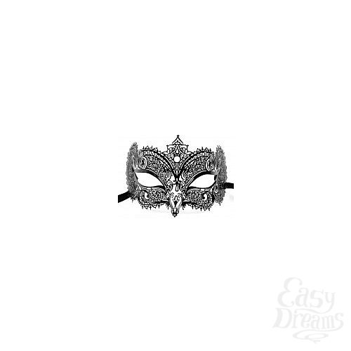 ���������� 1:  ������������ ����� Soldo Ornata