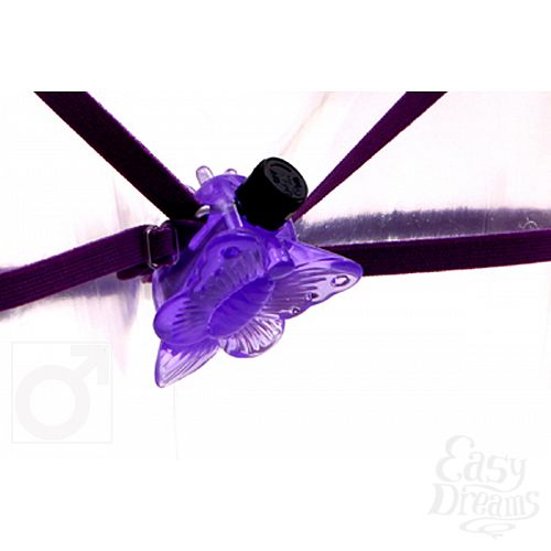  2  - BUTTERFLY ADVENTURE AROUSER