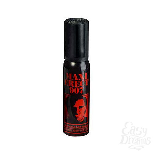 ���������� 1:  ����������� ����� Maxi Erect 907, 25 ��