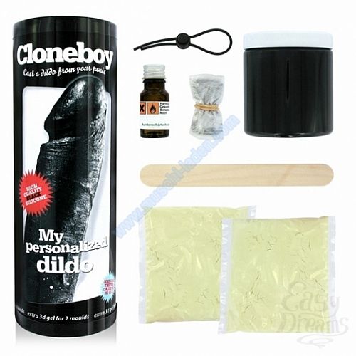  2  CloneBoy –            .