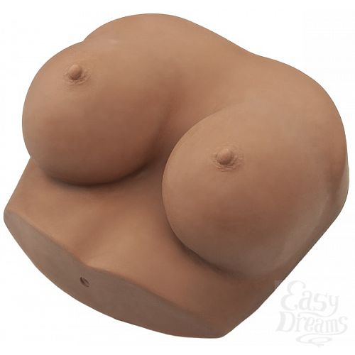 ���������� 1:  ������������ ����������� ����� ��������� NOCHES LATINAS 