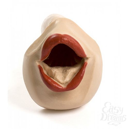 ���������� 2  �����-����������� LORI