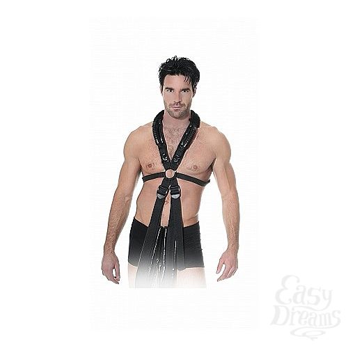  4     Sex Harness   