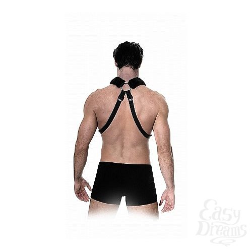  5     Sex Harness   