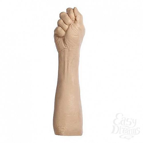  2     The Fist