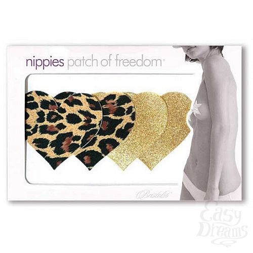 ���������� 2  �������� ����������� � ���������� ������-��������