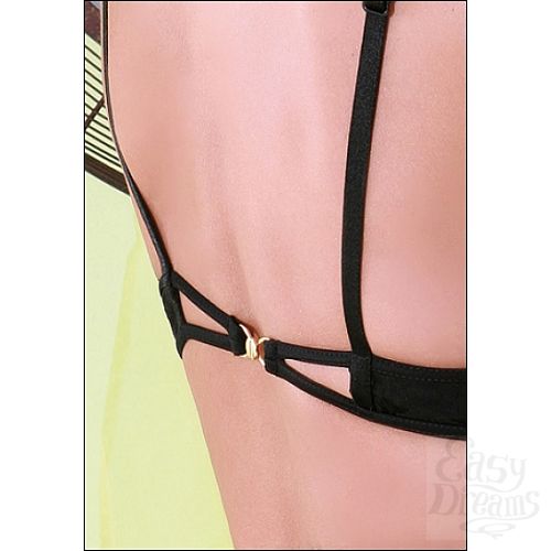 ���������� 2  ����������� �������� Luxxa Night Verseau