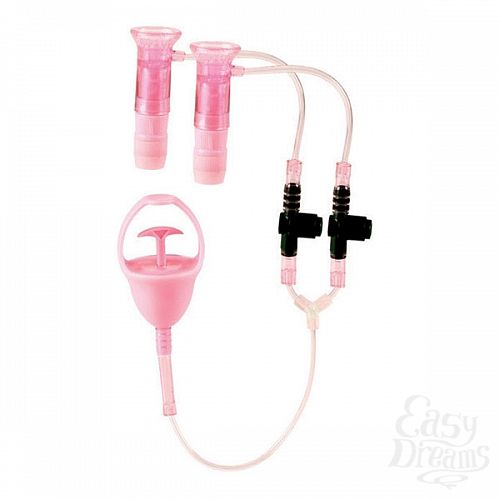 ���������� 1:  ��������������� � ��������� �������� ��� ������� � ������