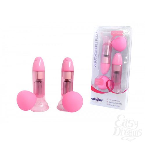 ���������� 1:  ������� �������������-����������� ��� ������