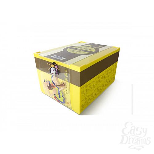 ���������� 3  ������������ ������-����������� � ��������� � �������� ��������� Geisha Shamisen