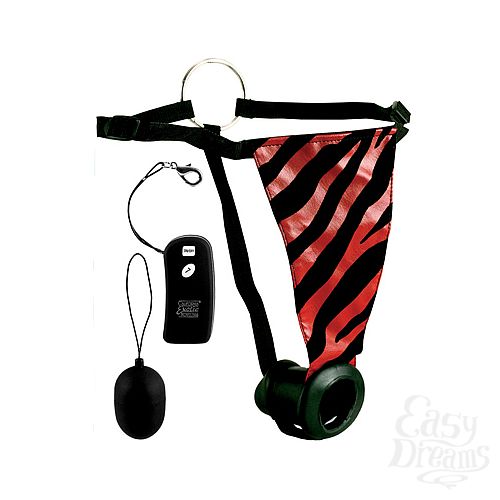  2  -   REMOTE PANTY 0081-25 BX SE