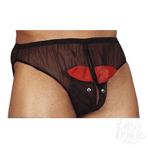 ���������� 1:  ����� ������� Scott