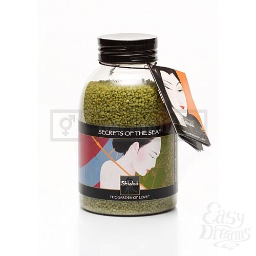 ���������� 2  ���� ��� ������ Shiatsu, 450 �