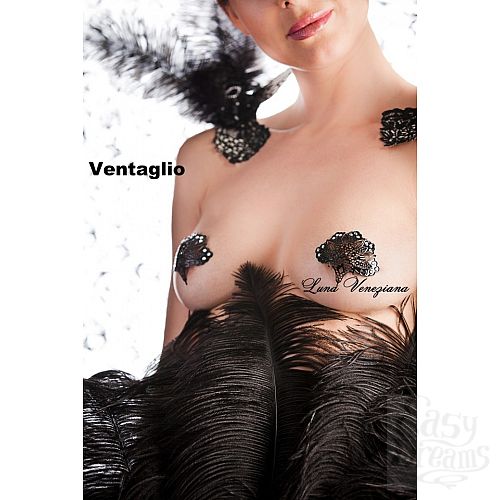 ���������� 1:  ��������� �� ����� Ventaglio