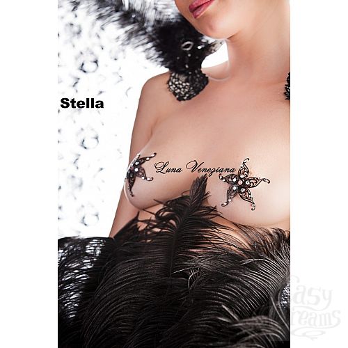 ���������� 1:  ��������� �� ����� Stella Marina