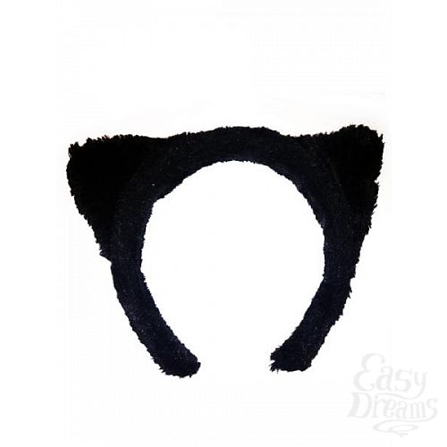 ���������� 1:  ������� ���� � ������ �����