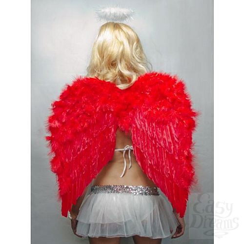 ���������� 1:  ������ �������� ������� 60�50��