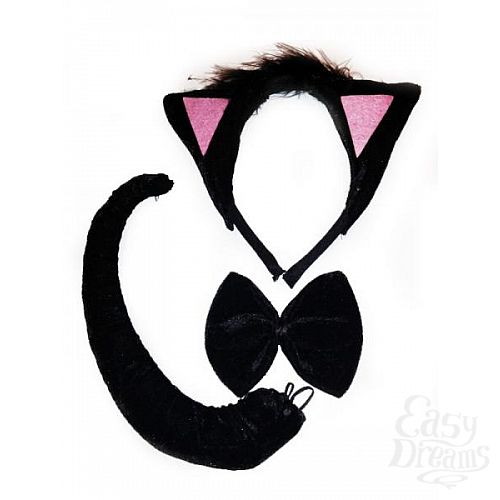 ���������� 1:  ����� �����