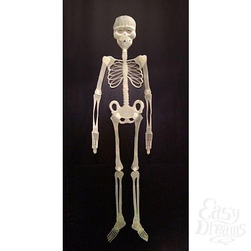 ���������� 1:  ������ ��������������