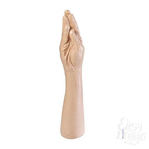 1:     The Hand