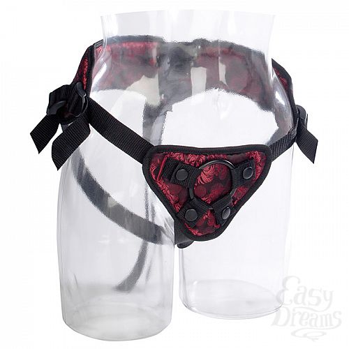 ���������� 2  ������������ ������� Harness ��� �������� SCANDAL