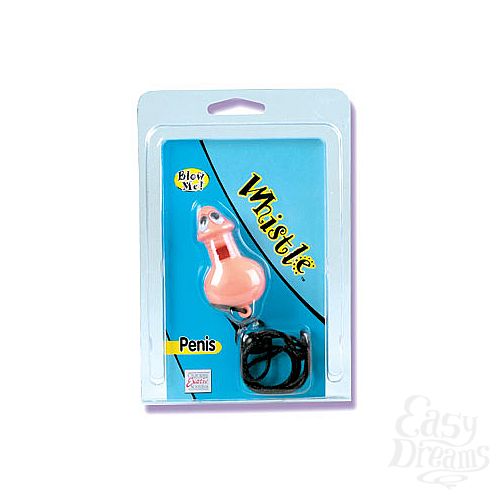 ���������� 1:  �������-������ � �������� 2419-10 CD SE