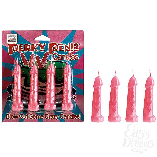 ���������� 1:  ������ ������� �����-������� 2452-04 CD SE