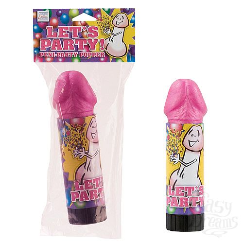 ���������� 1:  �������� ��� �������� ��������� 2489-10 CD SE