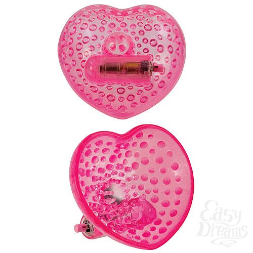 ���������� 2  �����-�������� ��� ������ 2592-04 BX SE